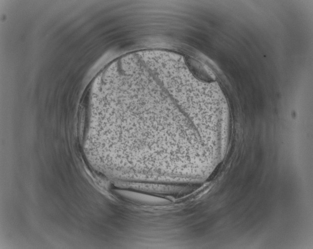 X0000081471236200702092332