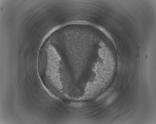 X0000081471237200702092332