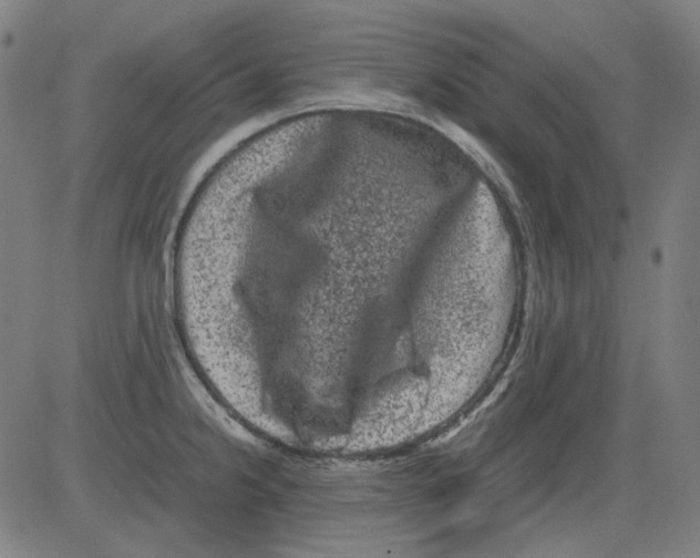 X0000081471238200702092332