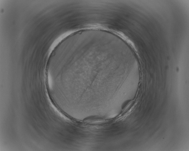 X0000081471239200702092332