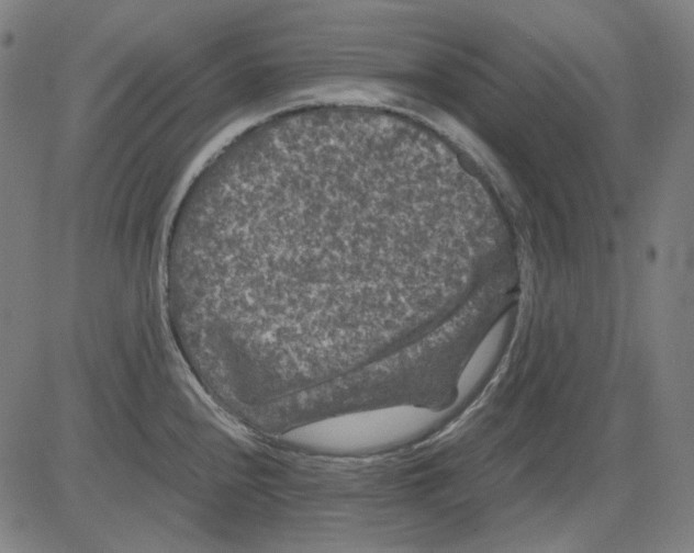 X0000081471240200702092332