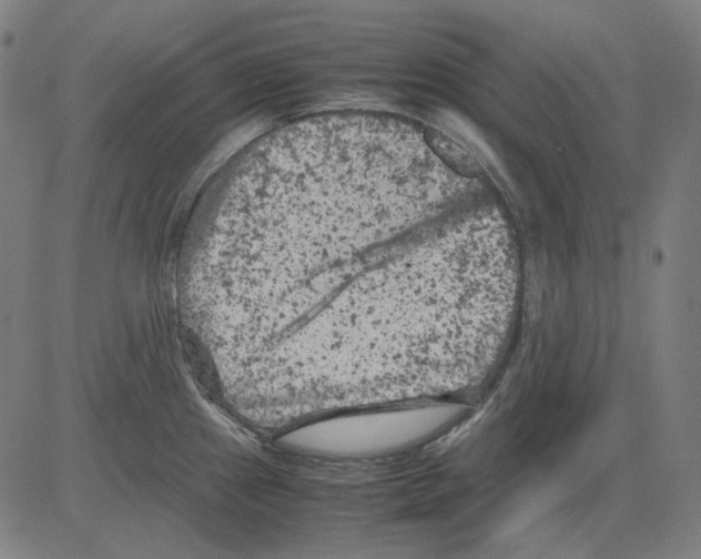 X0000081471241200702092332