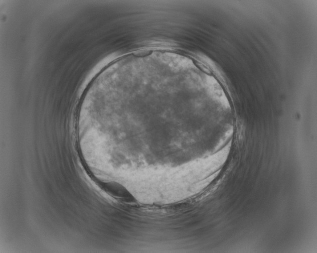 X0000081471243200702092332