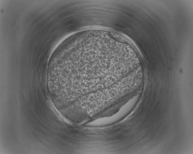 X0000081471244200702092332