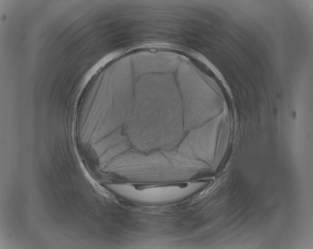 X0000081471245200702092332