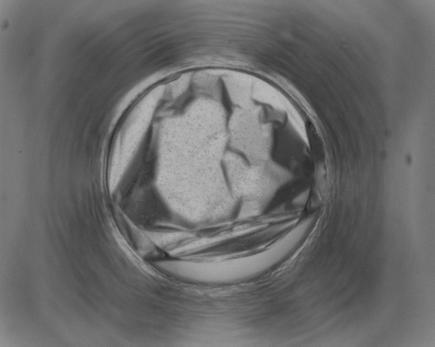 X0000081471246200702092332