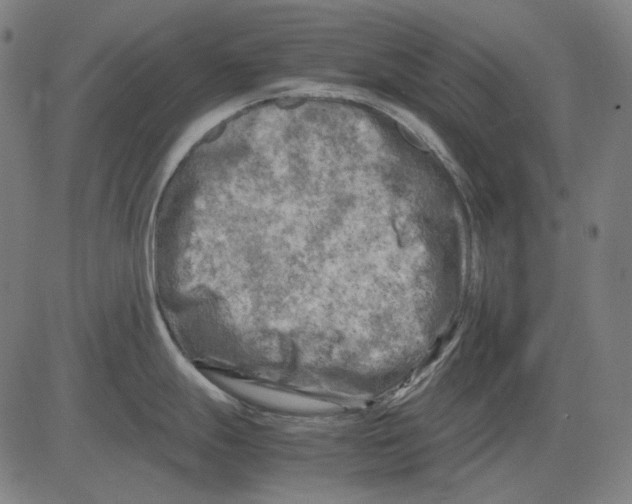 X0000081471247200702092332