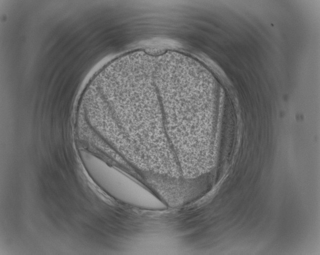 X0000081471248200702092332