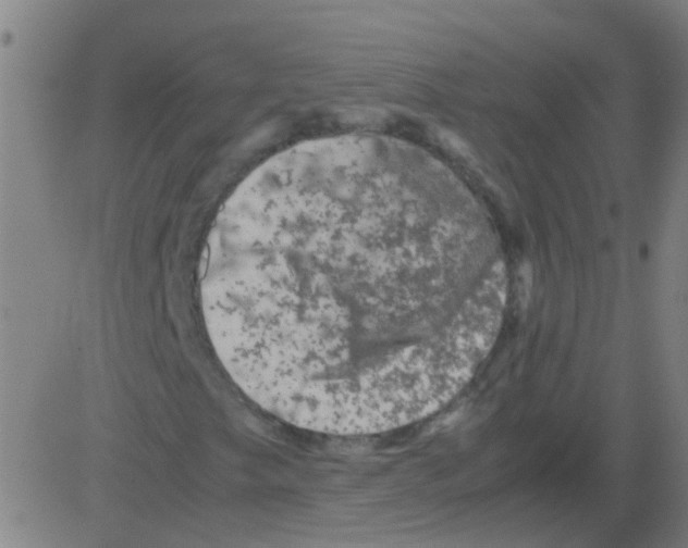 X0000081471249200702092331