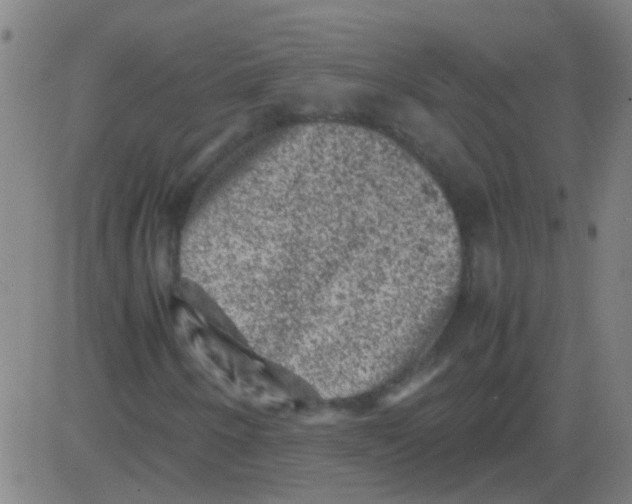 X0000081471250200702092331