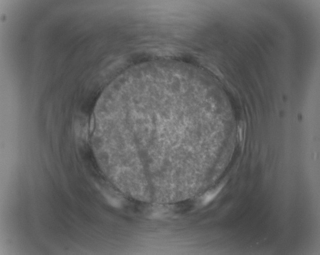 X0000081471251200702092331