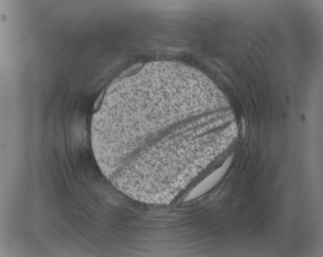 X0000081471252200702092331