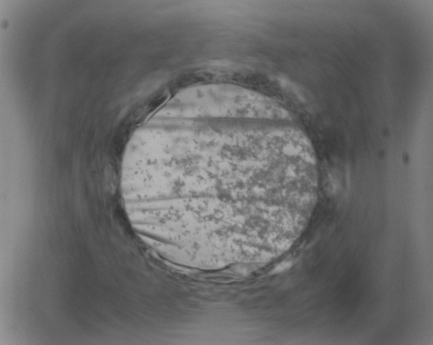 X0000081471253200702092331