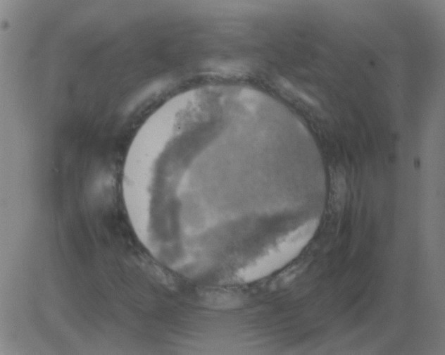 X0000081471254200702092331