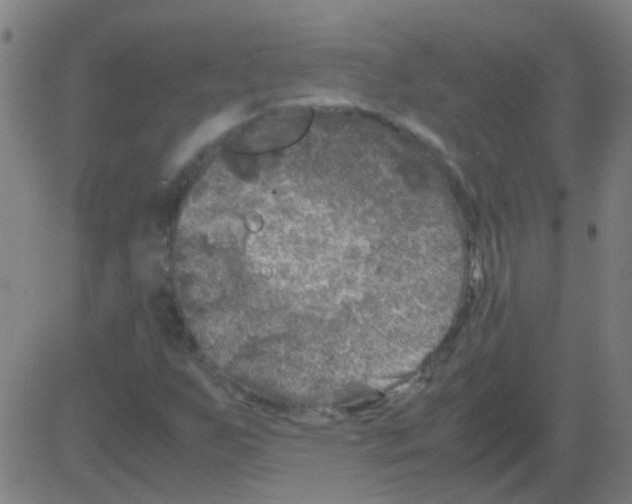 X0000081471255200702092331