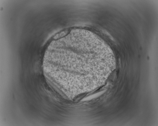 X0000081471256200702092331