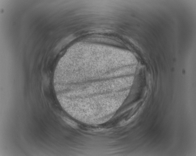 X0000081471257200702092331