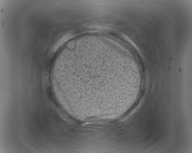 X0000081471259200702092331