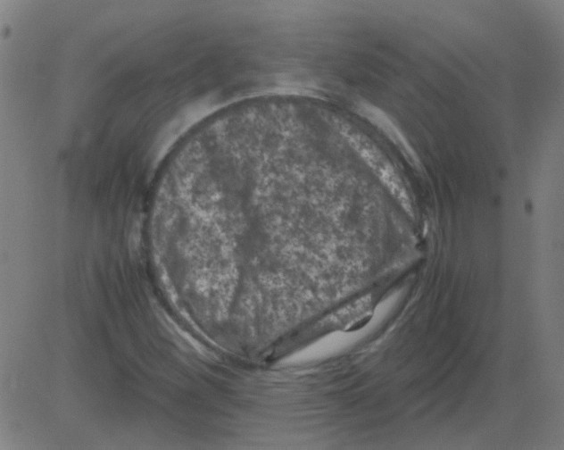 X0000081471260200702092331