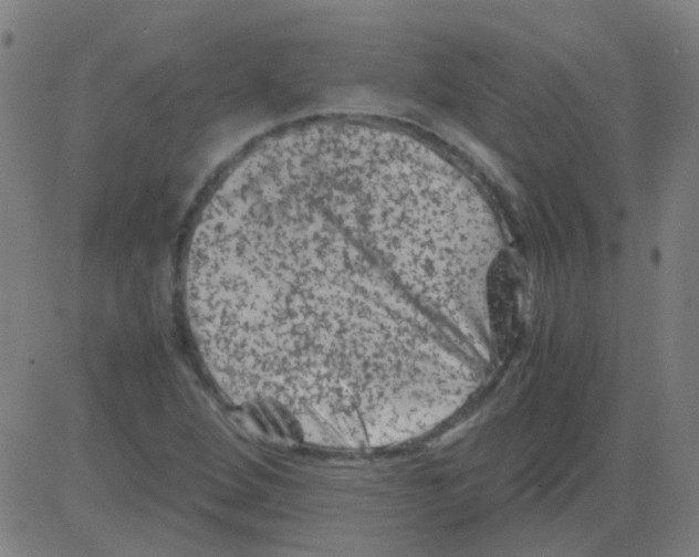 X0000081471264200702092331