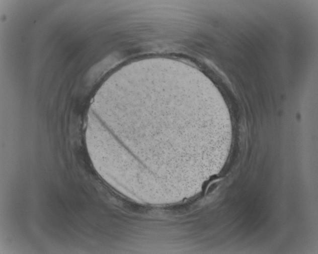 X0000081471265200702092331