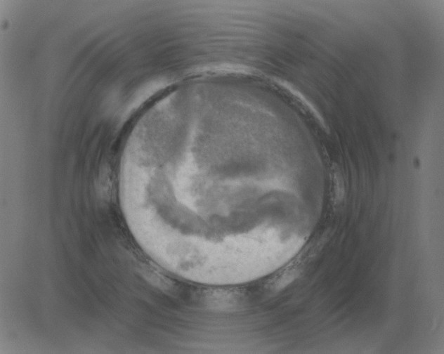 X0000081471266200702092331