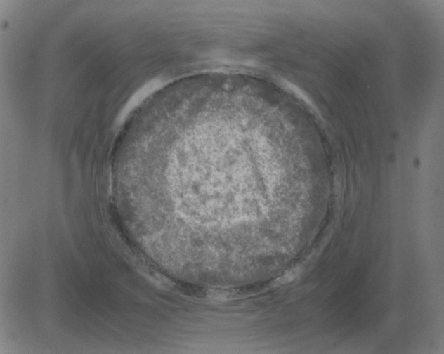 X0000081471267200702092331