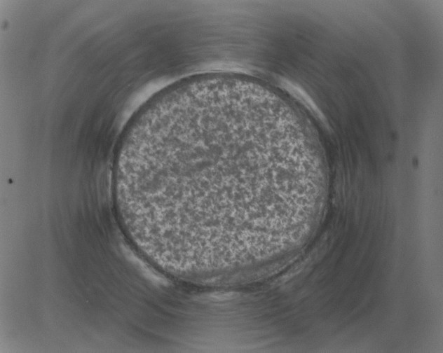 X0000081471268200702092331