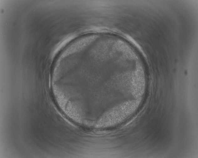 X0000081471269200702092331