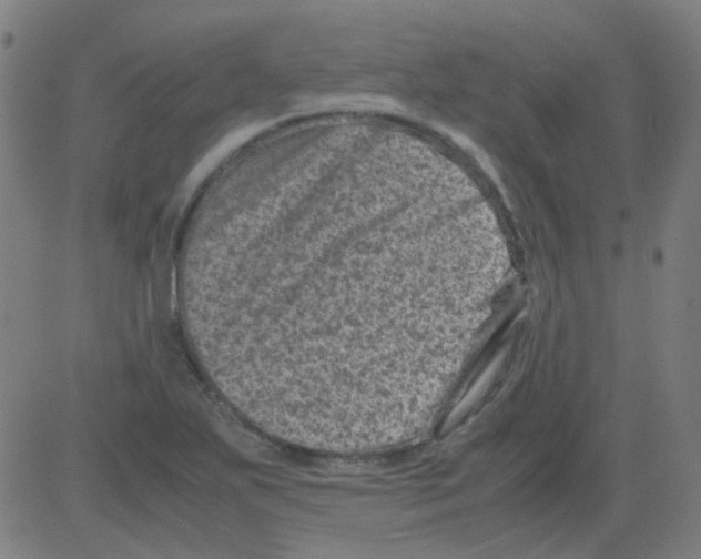 X0000081471271200702092331