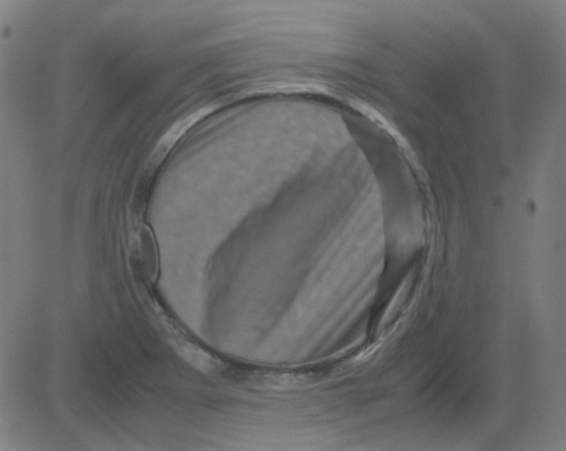 X0000081471273200702092331