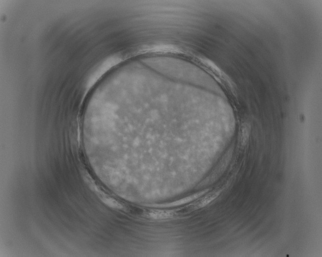 X0000081471274200702092331