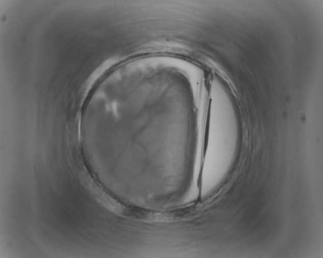 X0000081471275200702092331