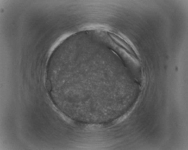 X0000081471277200702092331