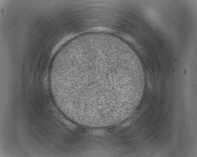 X0000081471278200702092331