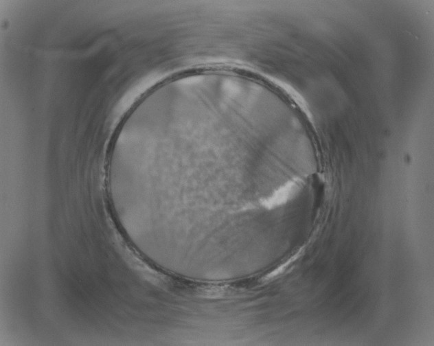 X0000081471279200702092331