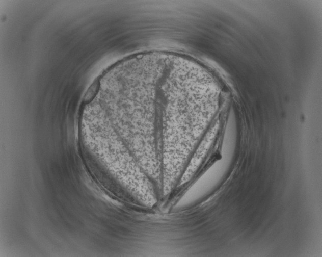 X0000081471280200702092331