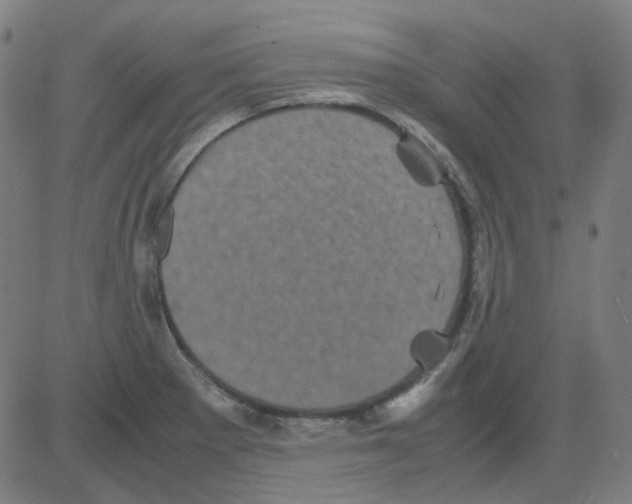 X0000081471281200702092331