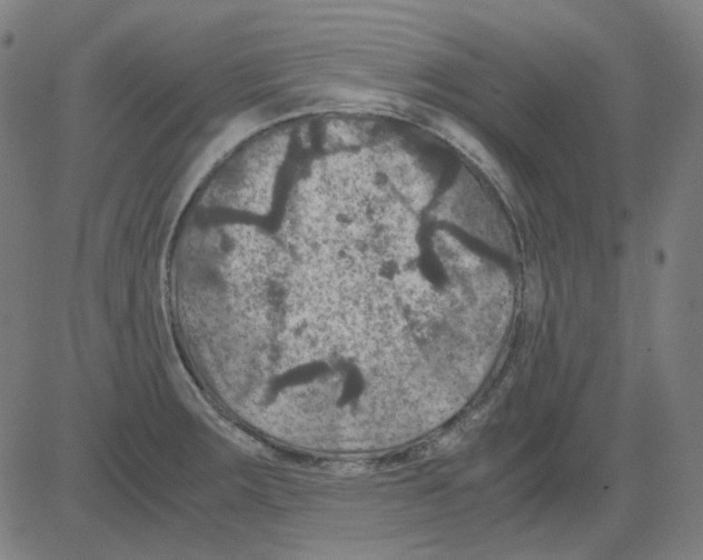 X0000081471283200702092331