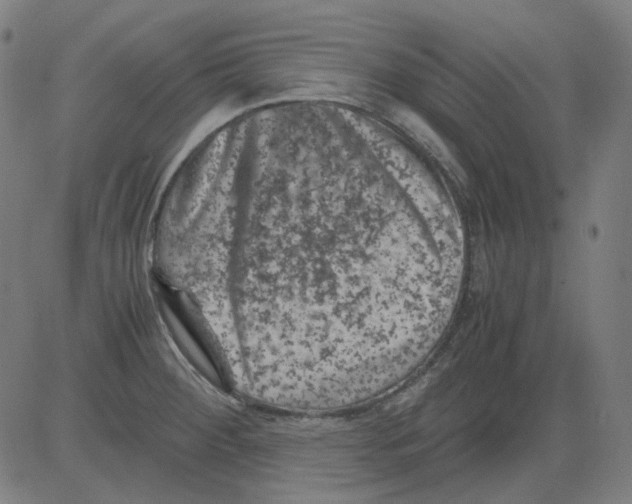 X0000081471284200702092330