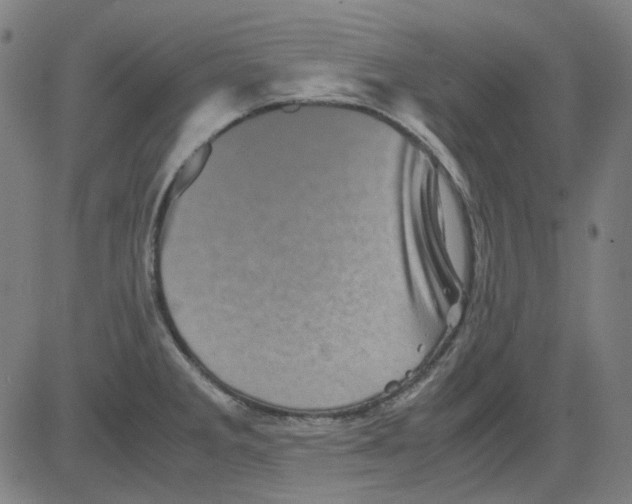 X0000081471285200702092330