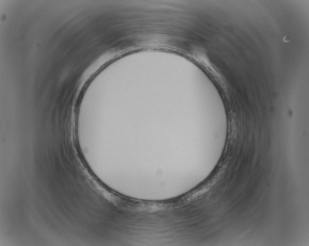 X0000081471286200702092330