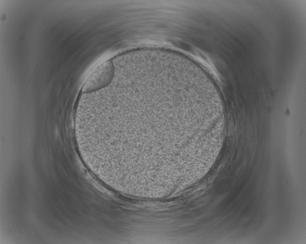 X0000081471287200702092330