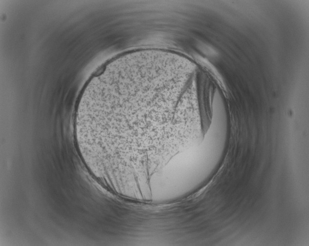 X0000081471288200702092330