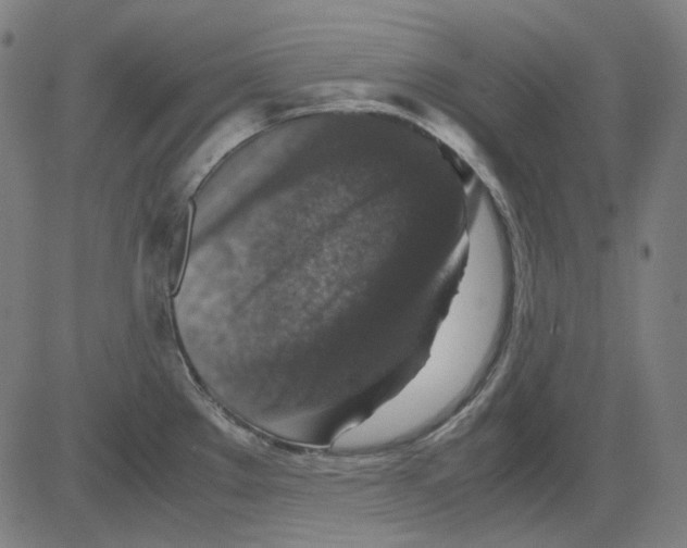 X0000081471289200702092330