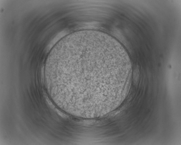 X0000081471290200702092330