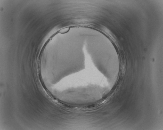 X0000081471291200702092330