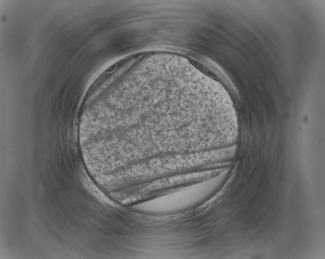 X0000081471292200702092330