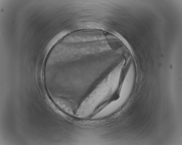 X0000081471293200702092330