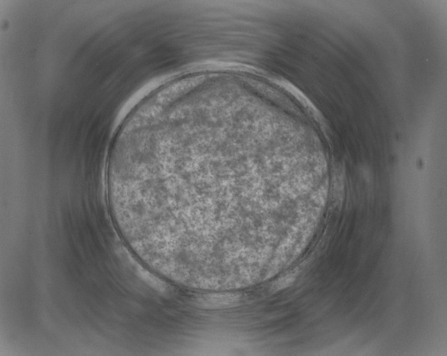 X0000081471294200702092330